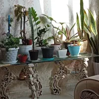 مبل گلبهار|مبلمان خانگی و میز عسلی|گلبهار, شهر جدید گلبهار|دیوار