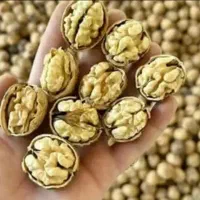 گردو تویسرکان تک درخت