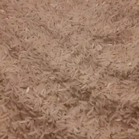 فروش برنج های فجر ،شمیم و گهر