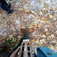 راهنمایی در آموزش گیتار|فعالیت داوطلبانه|شیراز, شهرک کوثر|دیوار