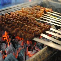 فروشنده خانم بساط کبابی
