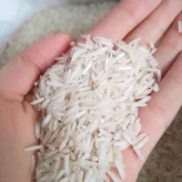 برنج پاکستانی دانه بلند غزال صورتی( 10gk)|خوردنی و آشامیدنی|مشهد, رسالت|دیوار