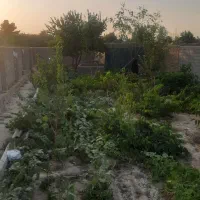 باغ درحوالی چناران دارای ۴۰۰متر مساحت|فروش خانه و ویلا|چناران, |دیوار