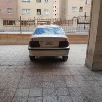 سمند شیک سالم