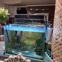 آکواریوم با تمامی لوازم