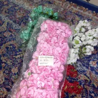 گل خارجی