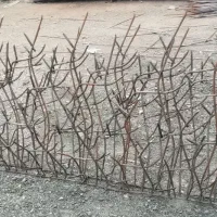 حفاظ دیواری در گناباد