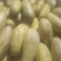 خربزه مشهدی شیرین ۷۰۰۰