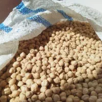 نخود
