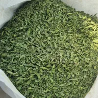 عطاری و گیاهان دارویی|خوردنی و آشامیدنی|شیراز, پادگان ولیعصر|دیوار