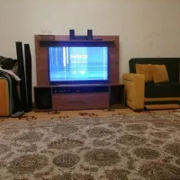 تلویزیون پنل شکسته