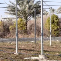 سازه گلخانه|مصالح و تجهیزات ساختمان|کازرون, |دیوار