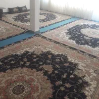 ۶عدد فرش نو|فرش|شازند, |دیوار