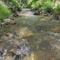 زمین آبی کشاورزی