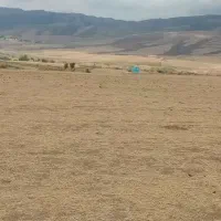 زمین کشاورزی