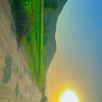 شالیزار به مساحت ۱۲/۶۵۰ متر