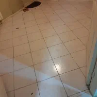 آپارتمان ۶۰متریک خوابه طبقه اول|اجارهٔ آپارتمان|تهران, حشمتیه|دیوار