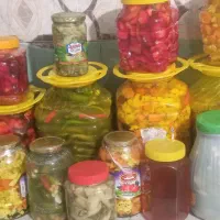 سیر.  و ترشی خونگی. زغال|عمده‌فروشی|دهدشت, |دیوار