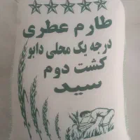 برنج طارم عطری اصل (کشت دوم)