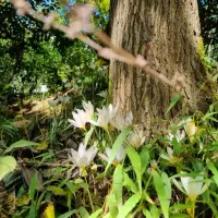 اجاره روزانه آپارتمان ۱۴۰متری مبله