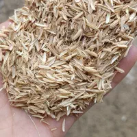 پوست اول برنج   فل