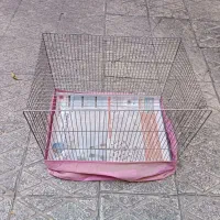 قفس پرنده