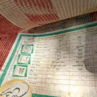 قالیچه گلیم