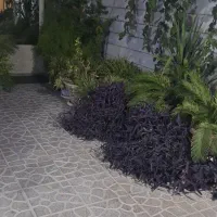 دریاباری صددستگاه ط همکف ۷۰ متر|اجارهٔ آپارتمان|تهران, صد دستگاه|دیوار