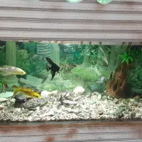 آکاریوم کلبه ۱متری