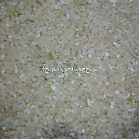 برنج چمپا شهریار|خوردنی و آشامیدنی|فلارد, |دیوار