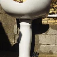 سرشور آرایشگاه