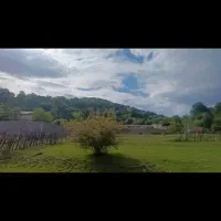 کلبه-جنگلی-که-روحتو-شفا-میده