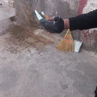 امروز  ساعت ۴ گم شده