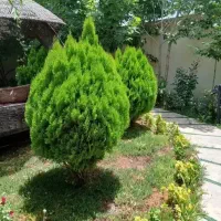خونه-مناسب-جهیزیه
