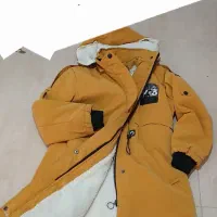 بارونی نونو