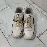 کتونی|کیف، کفش، کمربند|نهاوند, |دیوار