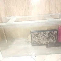 آکواریوم شیشه خم فروش فوری