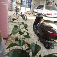 یاماها وکس اصل ژاپن کم کار درحد نو|موتورسیکلت|میناب, |دیوار