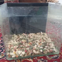آکواریوم کوچک شیشه خم