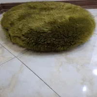 تشک چه مخصوص پت
