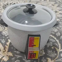 پلوپز برقی