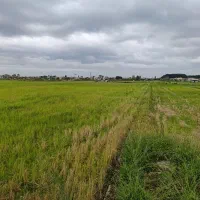 دو قطعه زمین کشاورزی|فروش زمین و ملک کلنگی|شلمان, |دیوار