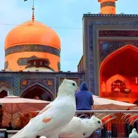 مشهد لحظه اخری