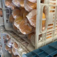 پرتقال تامسون نایلون پیچ  ۷ تن