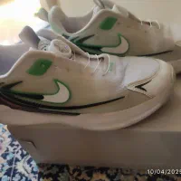 کتانی بند دیکسی سایز ۴۰|کیف، کفش، کمربند|شیراز, شهرک گلستان|دیوار