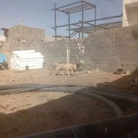 سگ سرابی|سگ|قیدار, |دیوار