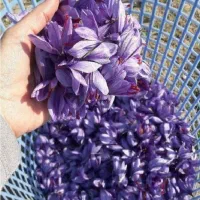 زعفران نگین خراسان صادراتی|خوردنی و آشامیدنی|کرج, شهرک بنفشه|دیوار