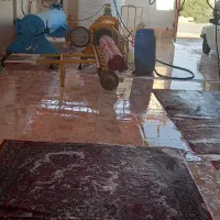 قالیشویی  ایران  مهر