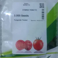 فروش بذر گوجه فرنگی سمینیس بایر مصر