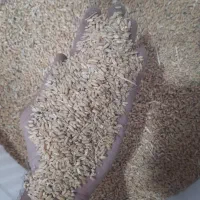 گندم بوجاری